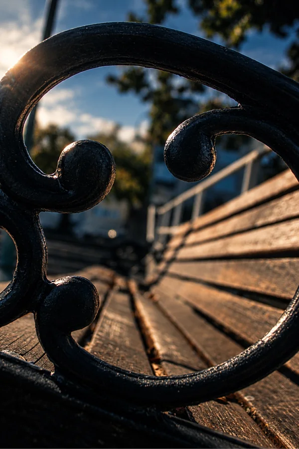 Close-up of ornate bench ironwork against soft bokeh