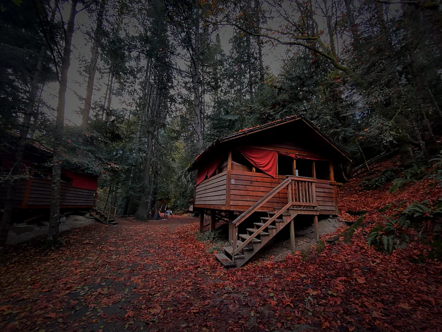 Abandoned wooden cabin with red awnings in a dark forest